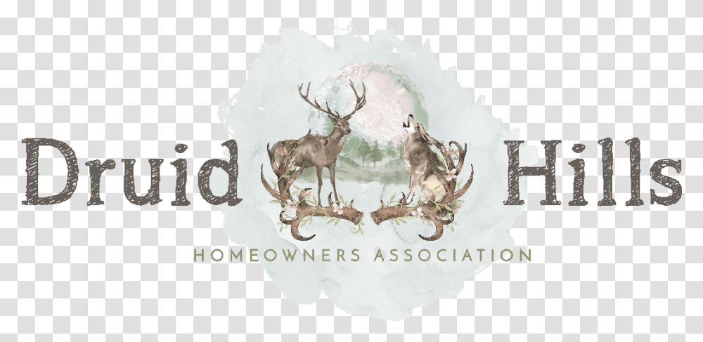 Druid Hills Hoa Florissant Colorado 2015 Debeschaving, Elk, Deer, Wildlife, Mammal Transparent Png