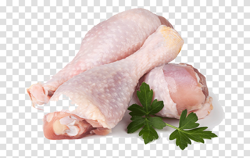 Drum Sticks Chicken, Poultry, Fowl, Bird, Animal Transparent Png