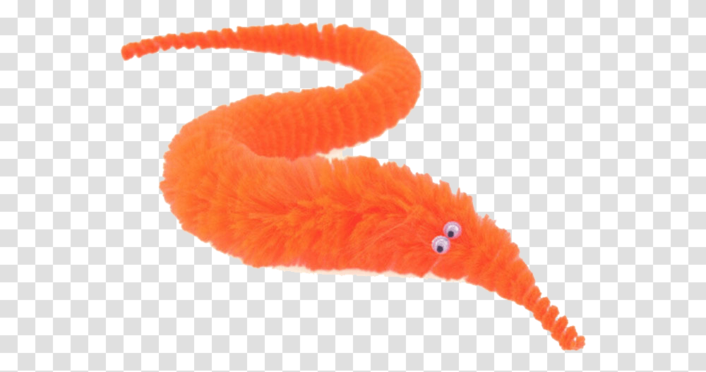 Drumboiravy Toy Worm On String, Animal, Sea Life, Seafood, Flamingo Transparent Png