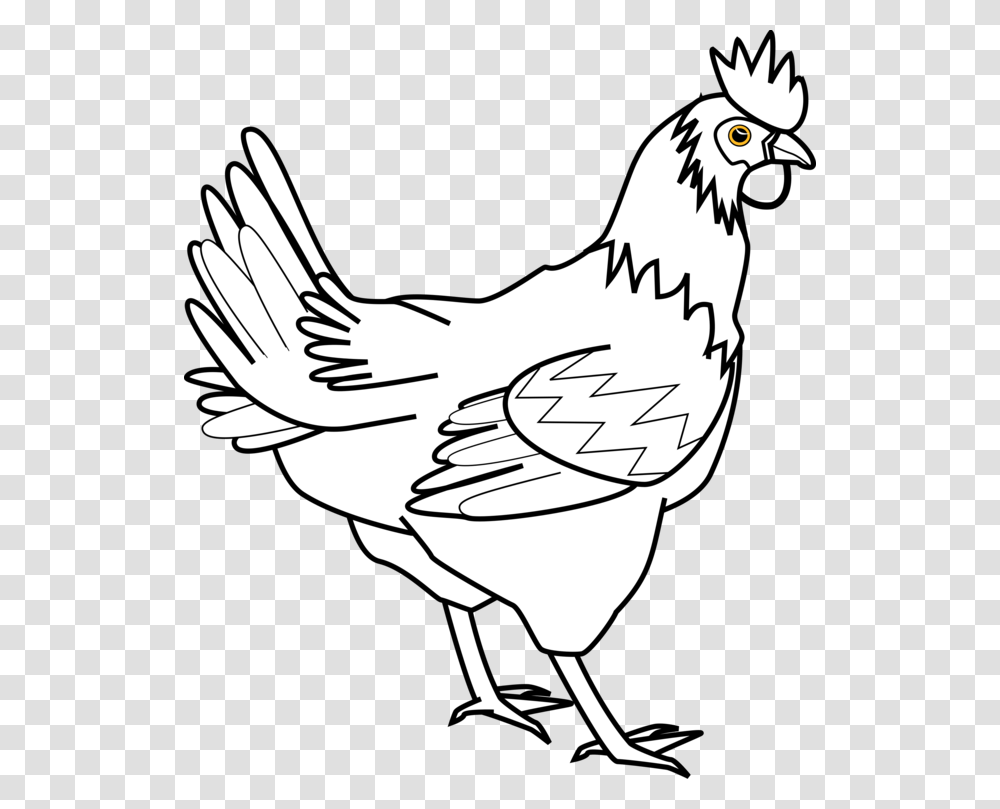 Drumstick Clipart Fried Chicken Drawing Pictures, Hen, Poultry, Fowl, Bird Transparent Png
