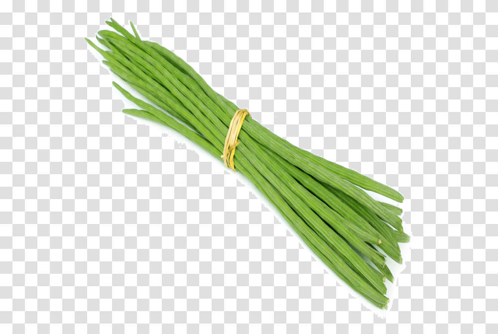 Drumsticks, Plant, Produce, Food, Vegetable Transparent Png