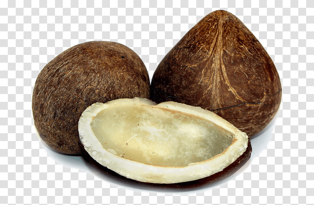 Dry Coconut, Vegetable, Plant, Food, Fruit Transparent Png