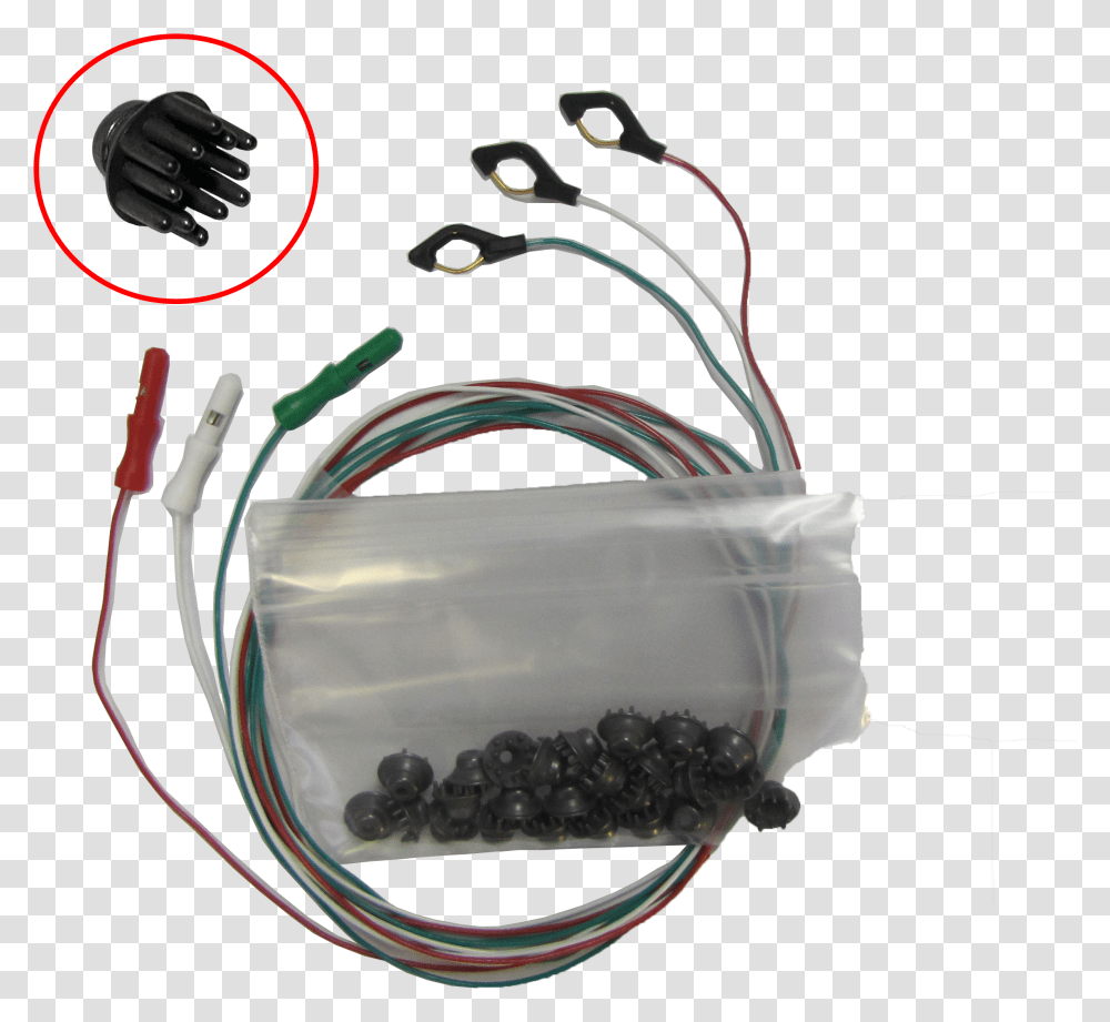 Dry Eeg Electrodes Connector, Plant, Fruit, Food, Produce Transparent Png