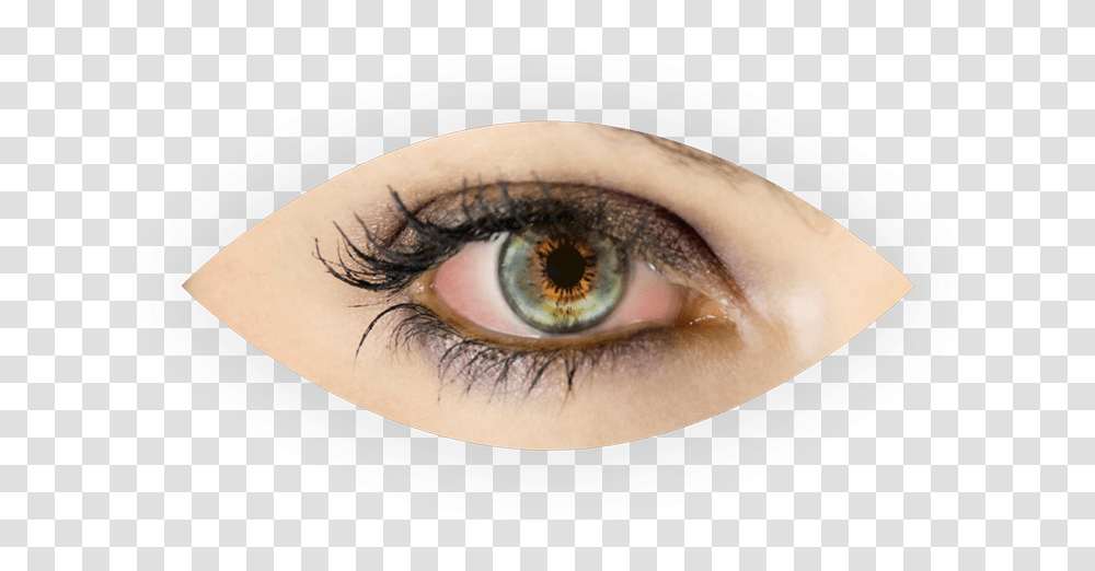Dry Eyes Eye, Contact Lens, Magnifying Transparent Png