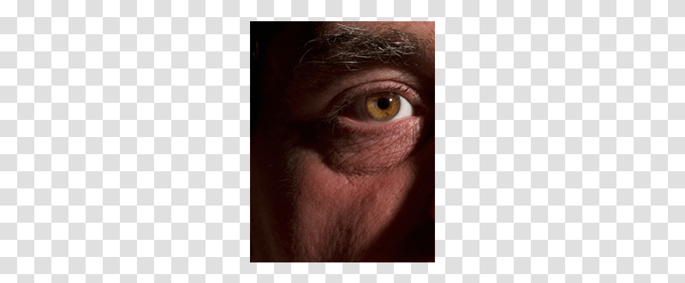 Dry Eyes Macaque, Skin, Person, Human, Face Transparent Png