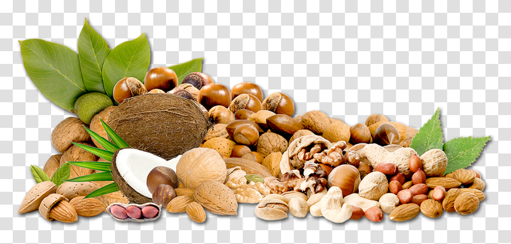 Dry Fruits, Plant, Nut, Vegetable, Food Transparent Png