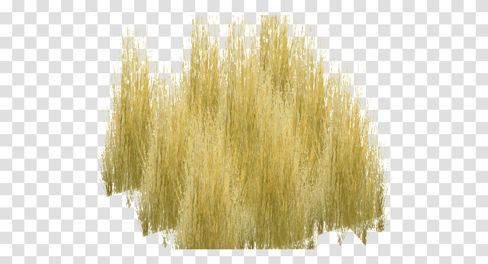 Dry Grass Clipart Realistic Grass Plant, Food, Vegetable, Noodle, Pasta Transparent Png