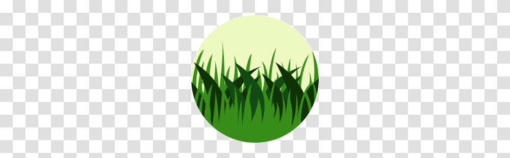 Dry Grass Clipart Short Grass, Tennis Ball, Sport, Golf Ball, Logo Transparent Png