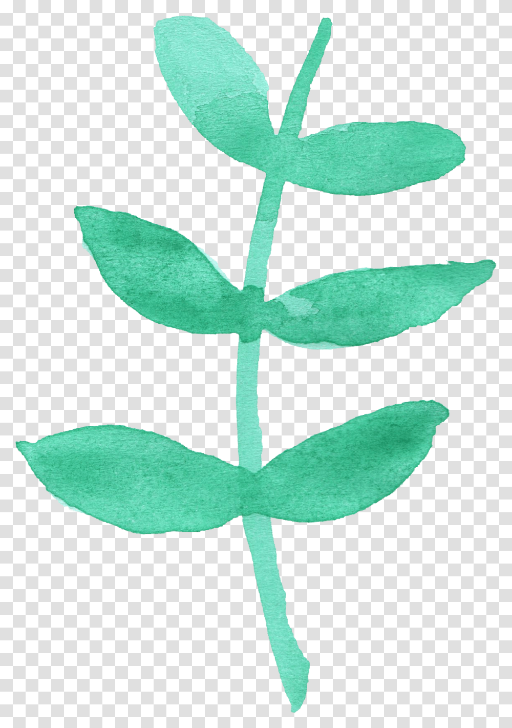 Dry Leaf, Plant, Rug, Sprout, Green Transparent Png