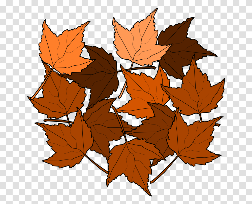 Dry Leaves Clip Art, Leaf, Plant, Tree, Maple Transparent Png