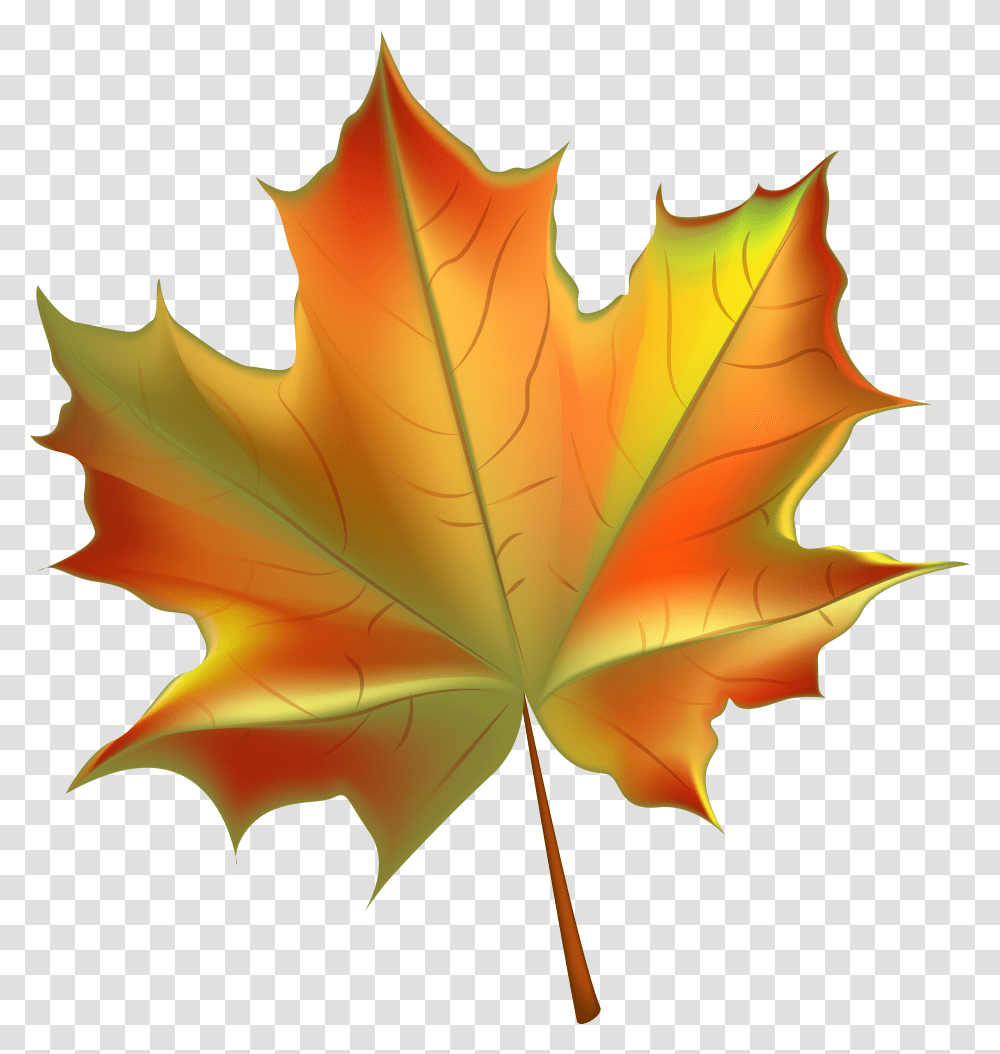 Dry Leaves Falling Transparent Png