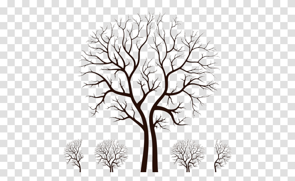 Dry Tree Vector Free, Plant, Flower, Apiaceae, Nature Transparent Png