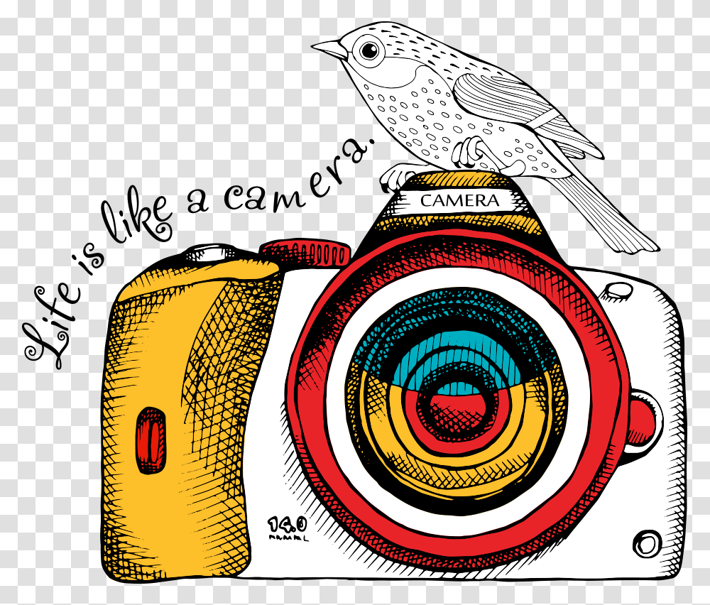 Dslr Camera Dslr Vector, Bird, Animal, Logo Transparent Png