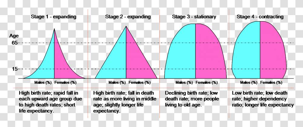Dtm Pyramids Demographic Transition Model Stages Population Pyramids, Triangle, Pattern Transparent Png