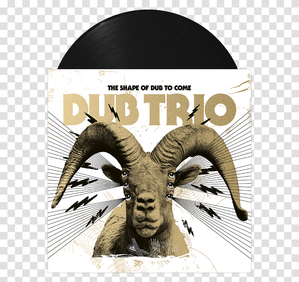 Dub Trio The Shape Of Dub To Come, Bird, Animal, Poster, Advertisement Transparent Png