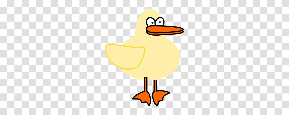 Duck Animals, Bird, Lamp Transparent Png