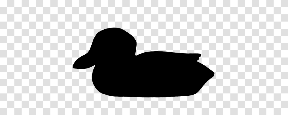 Duck Animals, Gray, World Of Warcraft Transparent Png