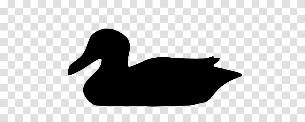 Duck Animals, Gray, World Of Warcraft Transparent Png