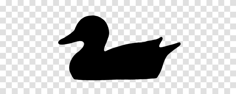 Duck Animals, Gray, World Of Warcraft Transparent Png