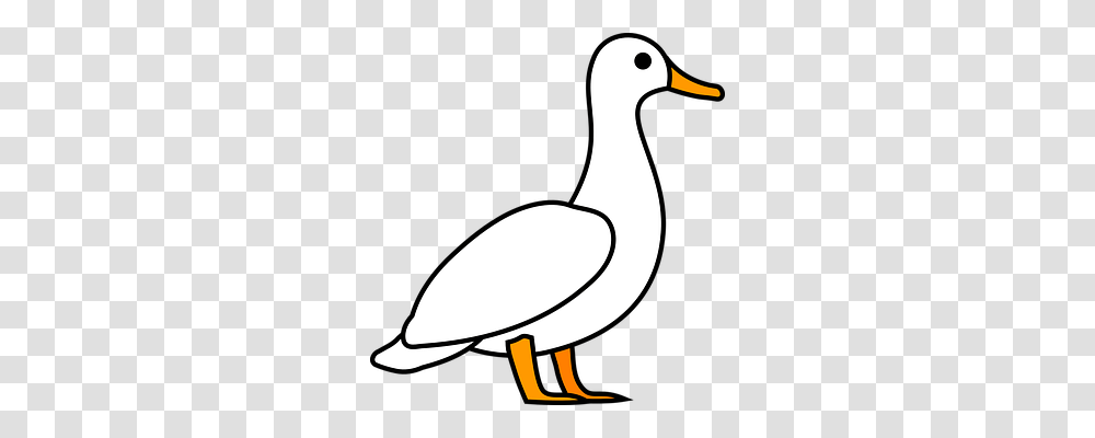 Duck Nature, Bird, Animal, Goose Transparent Png