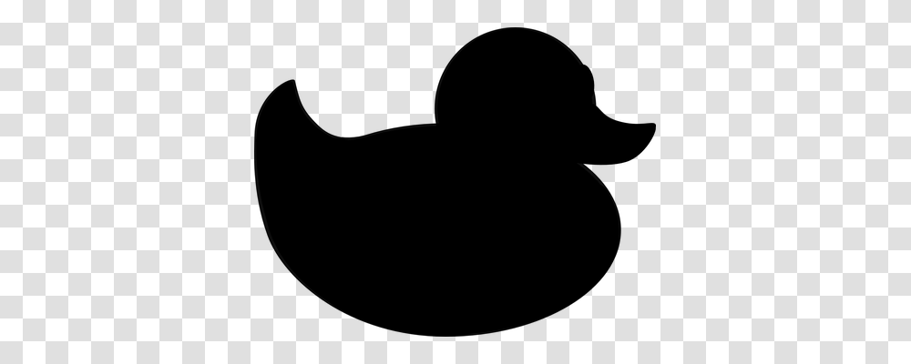 Duck Animals, Gray, World Of Warcraft Transparent Png