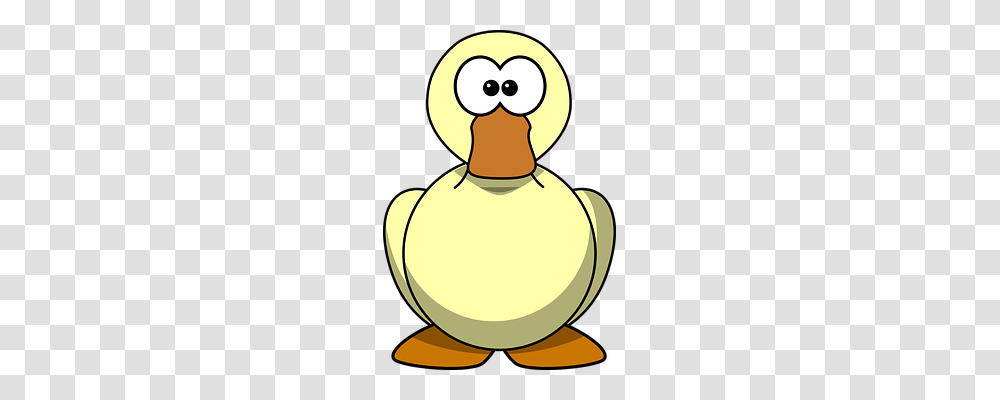 Duck Animals, Bird, Waterfowl, Beak Transparent Png