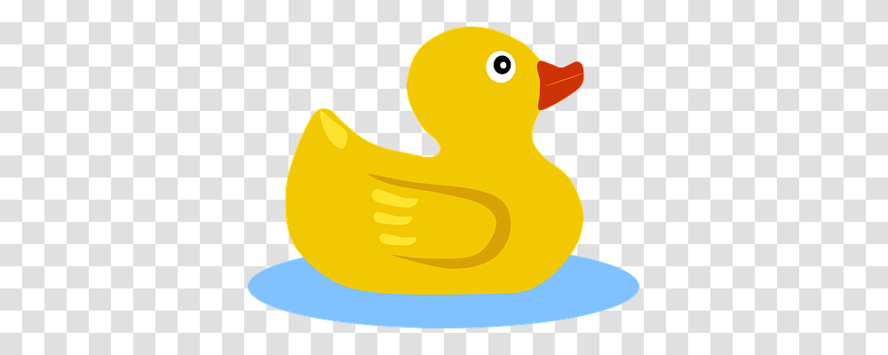 Duck Nature, Bird, Animal Transparent Png