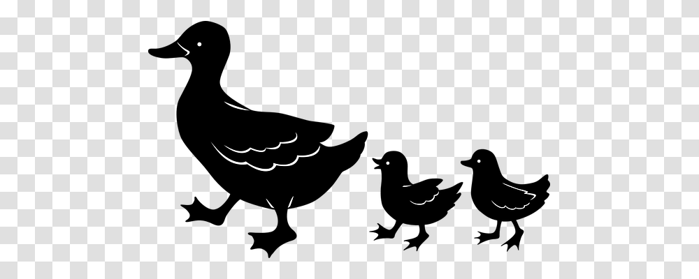 Duck Animals, Silhouette, Outdoors Transparent Png