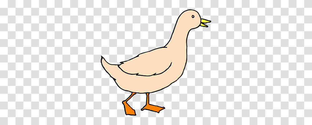 Duck Animals, Bird, Person, Human Transparent Png