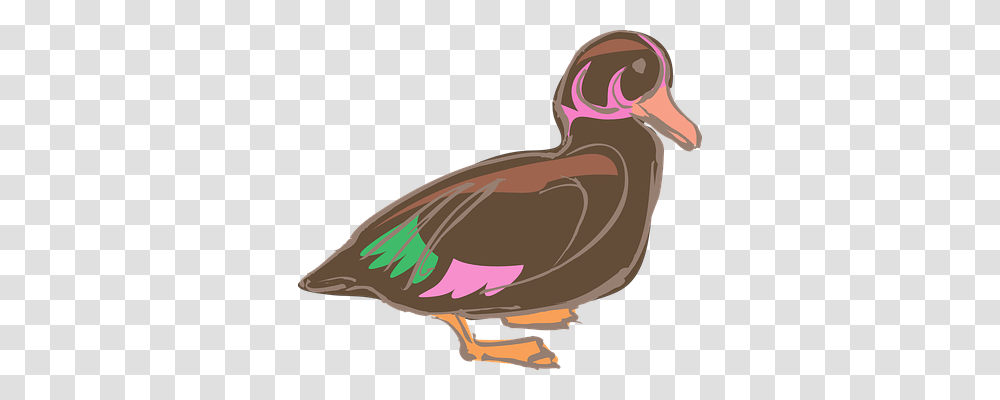 Duck Animals, Bird, Dodo, Beak Transparent Png