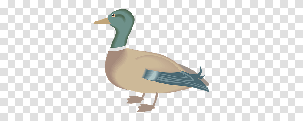 Duck Nature, Axe, Tool, Animal Transparent Png