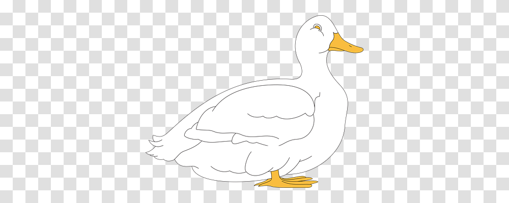 Duck Nature, Bird, Animal, Hammer Transparent Png