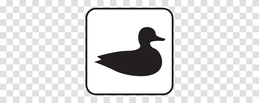 Duck Animal, Bird, Stencil, Goose Transparent Png