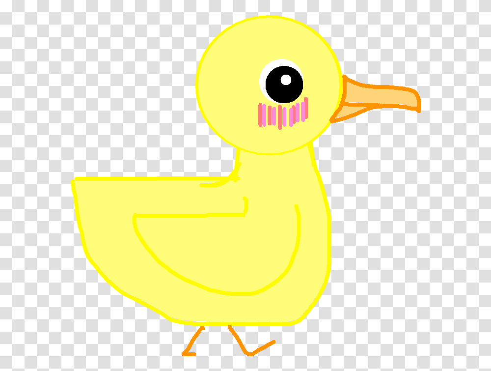 Duck, Animal, Bird, Kiwi Bird, Key Transparent Png