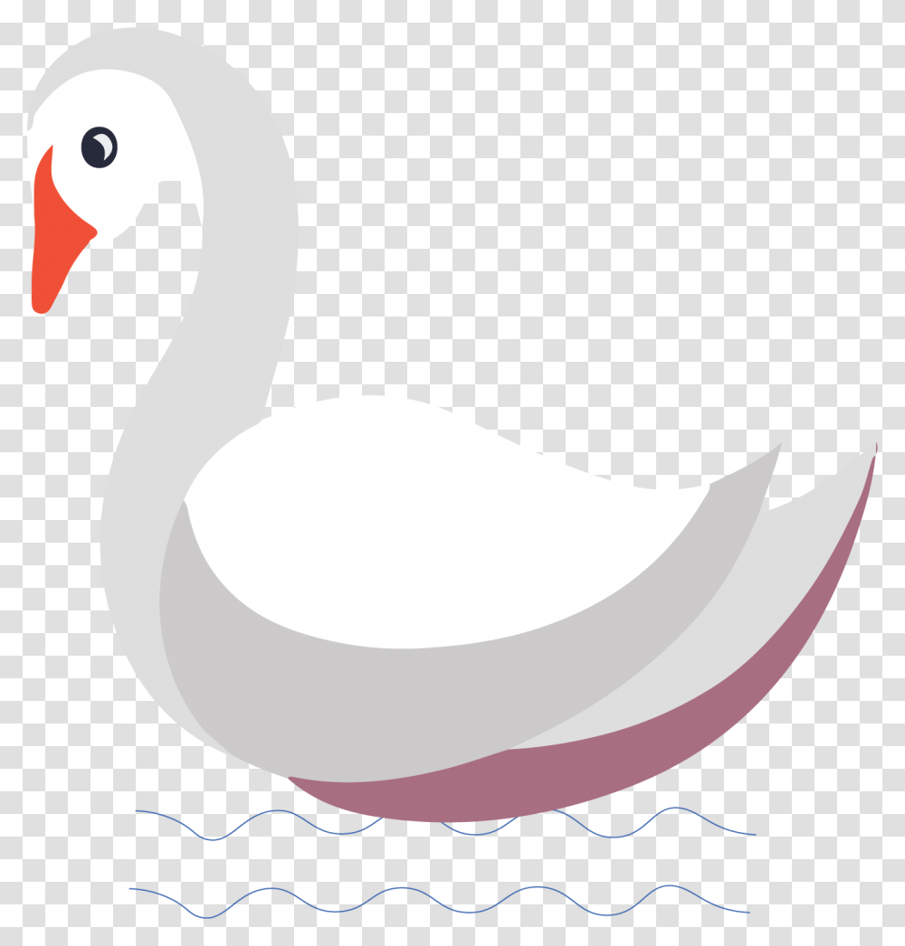 Duck, Animal, Bird, Outdoors, Flamingo Transparent Png