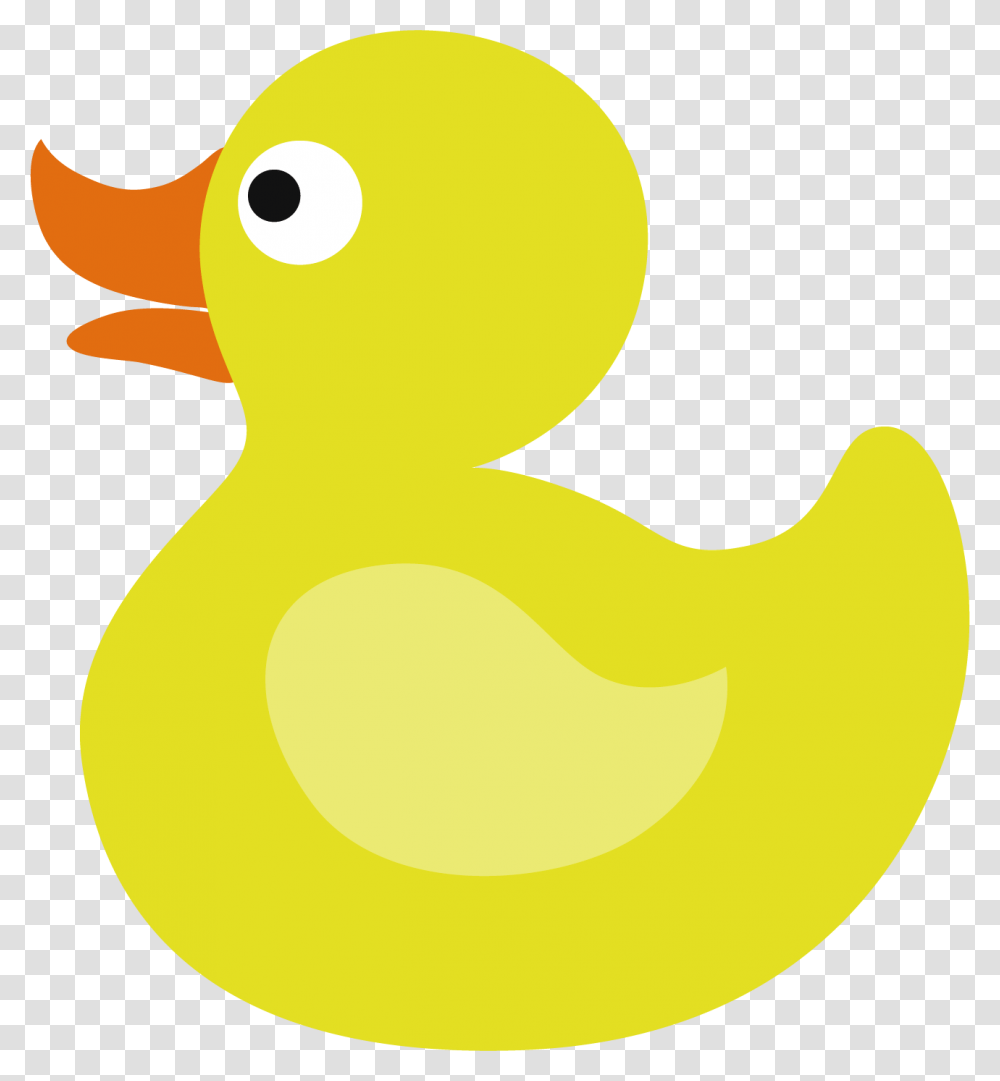 Duck, Animal, Bird, Poultry, Fowl Transparent Png