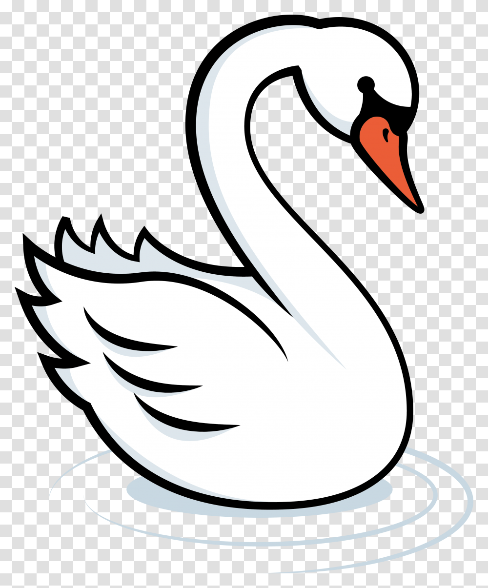 Duck, Animal, Swan, Bird, Waterfowl Transparent Png