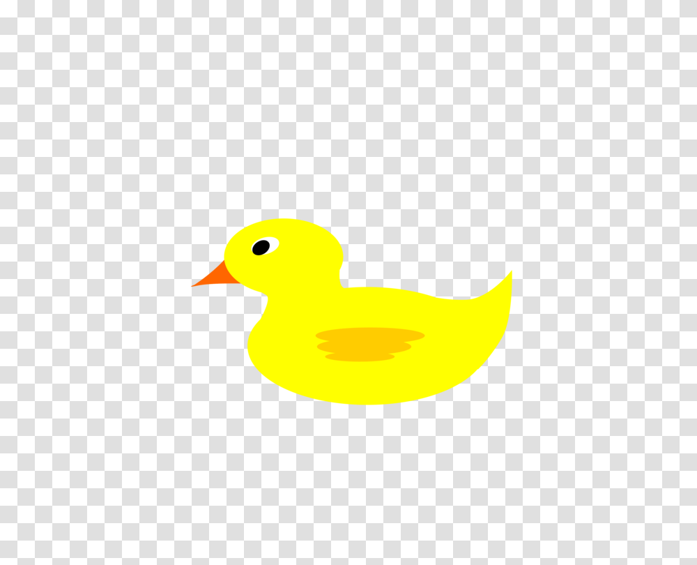 Duck Beak, Bird, Animal, Fowl Transparent Png