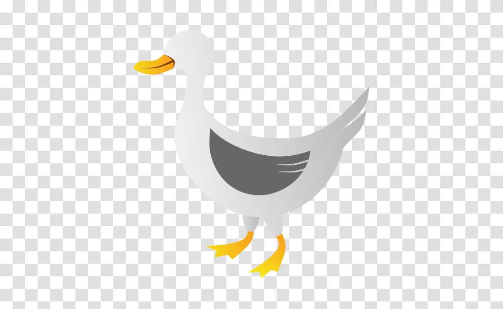 Duck Best Clipart, Bird, Animal, Goose, Waterfowl Transparent Png