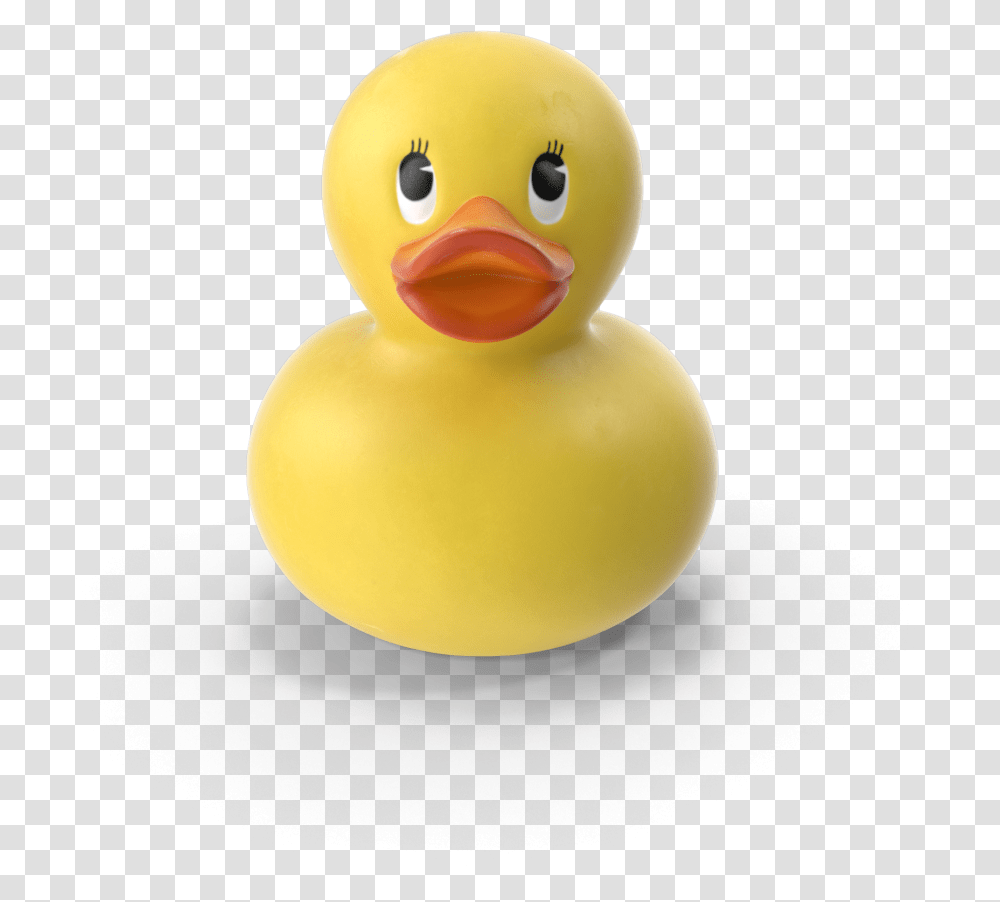 Duck Bill Duck, Bird, Animal, Snowman, Winter Transparent Png