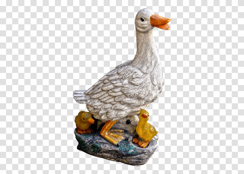 Duck, Bird, Animal, Beak, Dodo Transparent Png