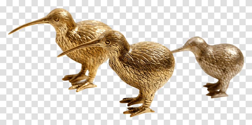 Duck, Bird, Animal, Beak, Kiwi Bird Transparent Png