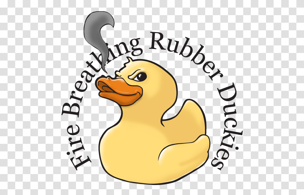 Duck, Bird, Animal, Beak, Poultry Transparent Png