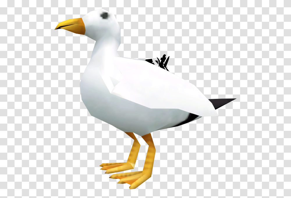 Duck, Bird, Animal, Goose, Beak Transparent Png