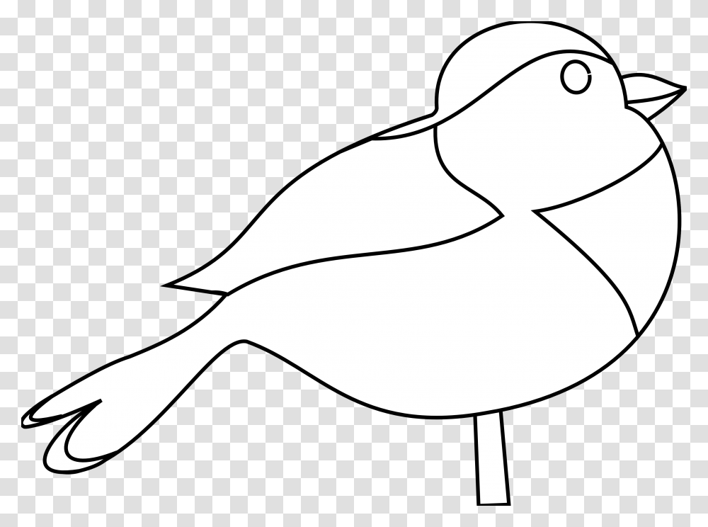 Duck, Bird, Animal, Goose Transparent Png