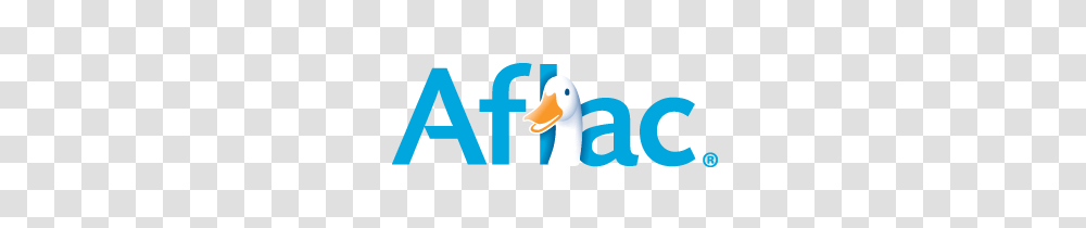 Duck, Bird, Animal, Goose Transparent Png