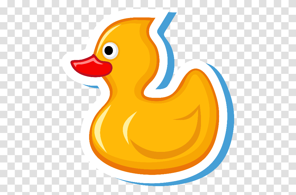 Duck, Bird, Animal, Poultry Transparent Png