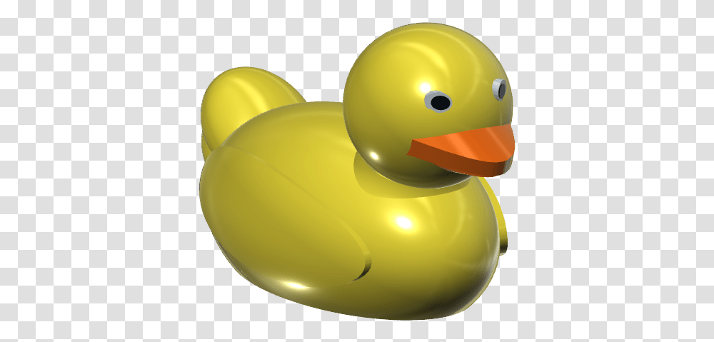 Duck, Bird, Animal Transparent Png