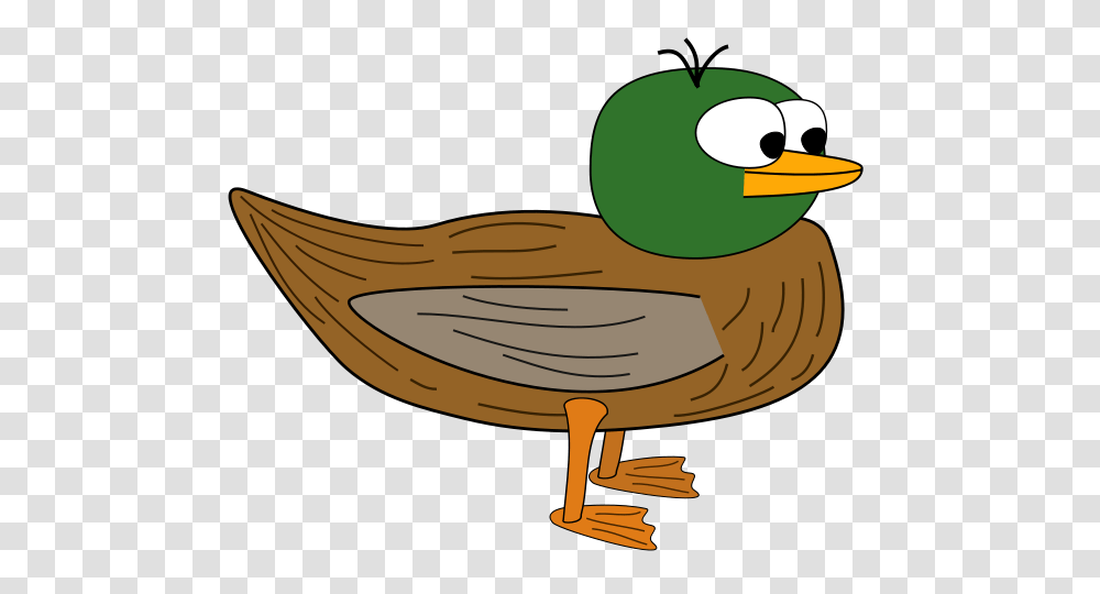 Duck, Bird, Animal, Waterfowl Transparent Png