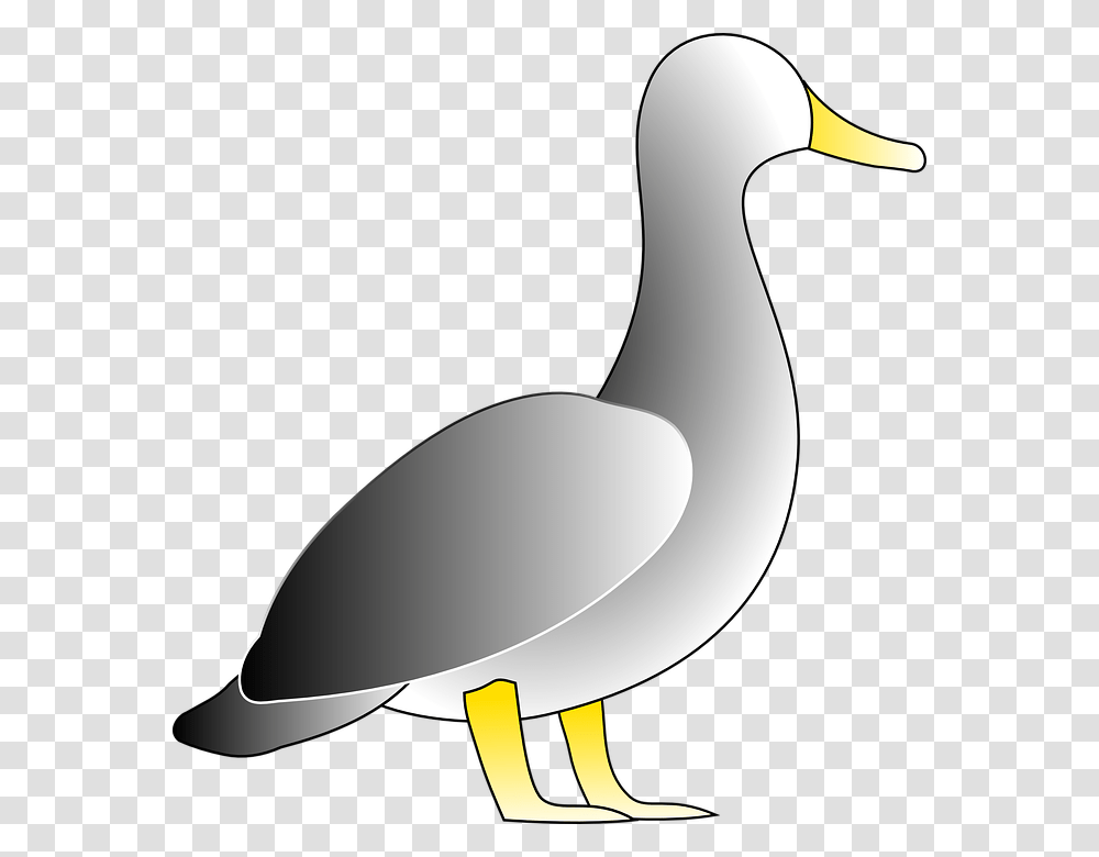 Duck Bird White Water Fowl, Animal, Goose, Lamp, Waterfowl Transparent Png